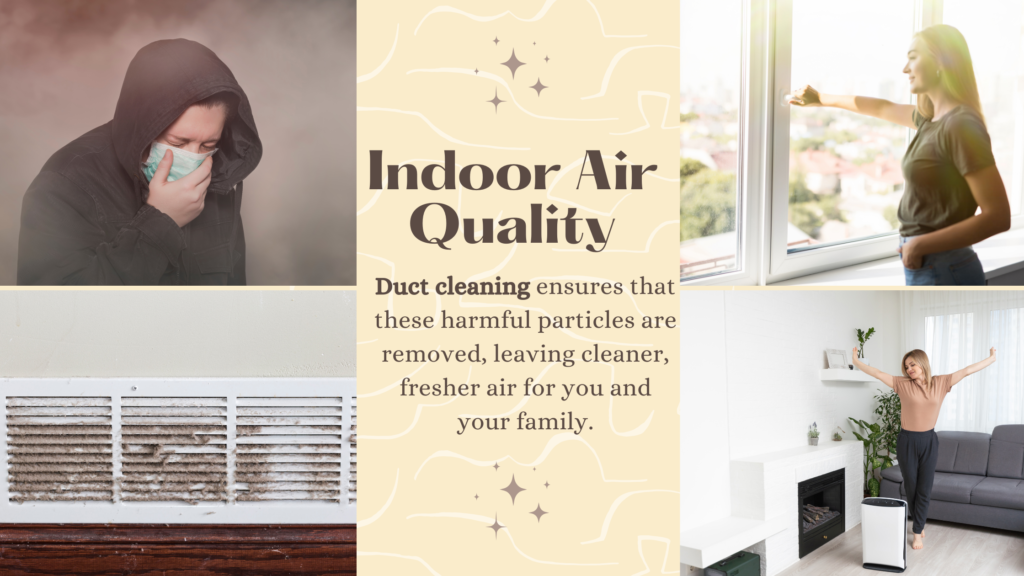 Enhances Indoor Air Quality